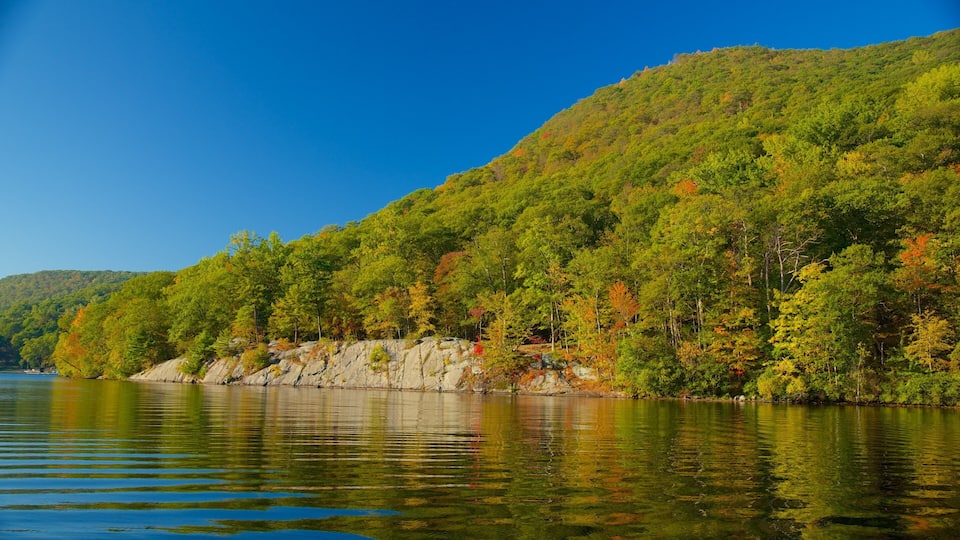 A calm lake surrounded by dense forest and a rocky shoreline.