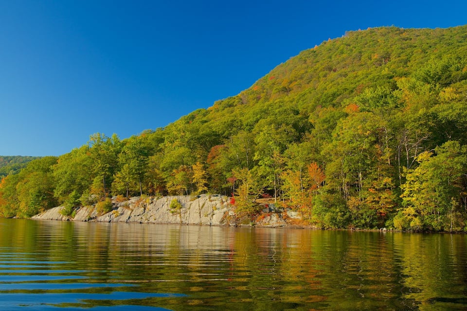 A calm lake surrounded by dense forest and a rocky shoreline.