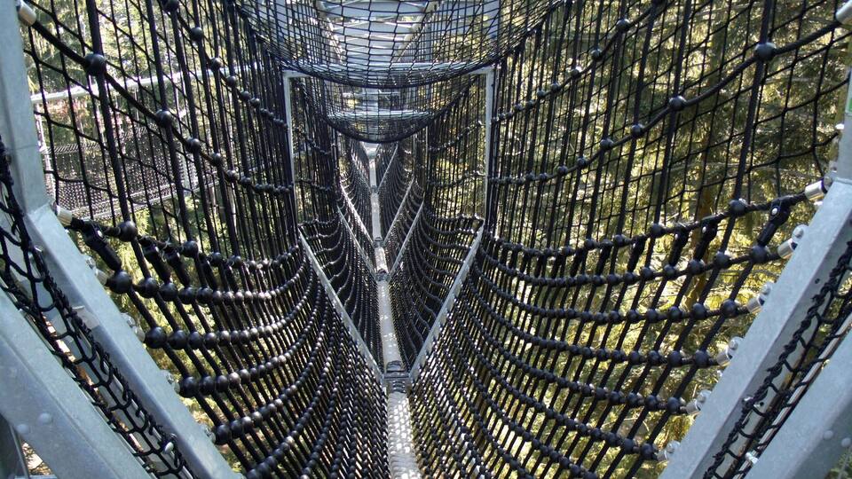 A suspension bridge with a netted walkway surrounded by trees.