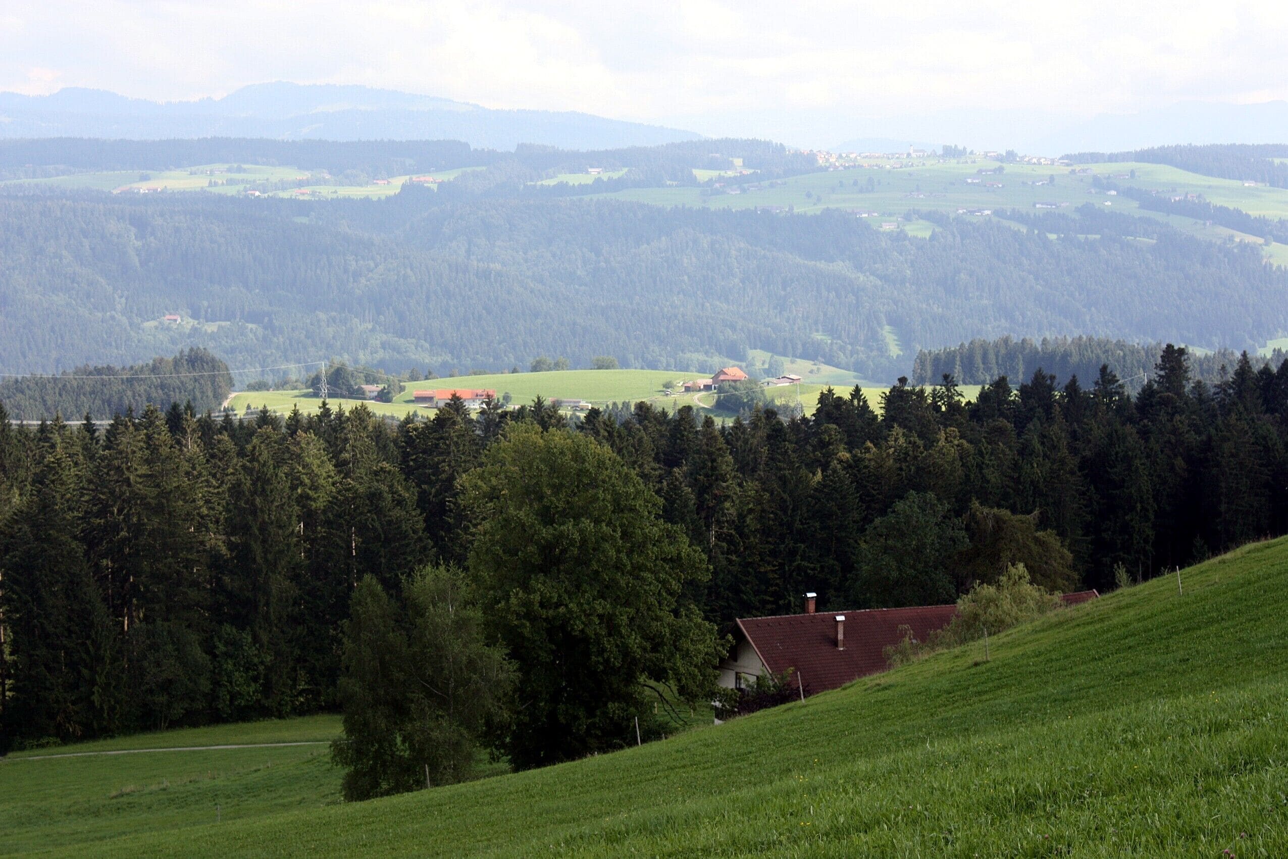 Scheidegg, view from the Höhenweg to southeast