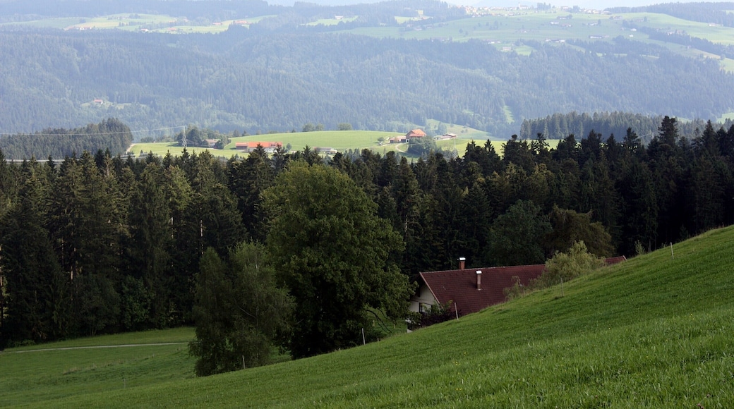 Scheidegg, view from the Höhenweg to southeast