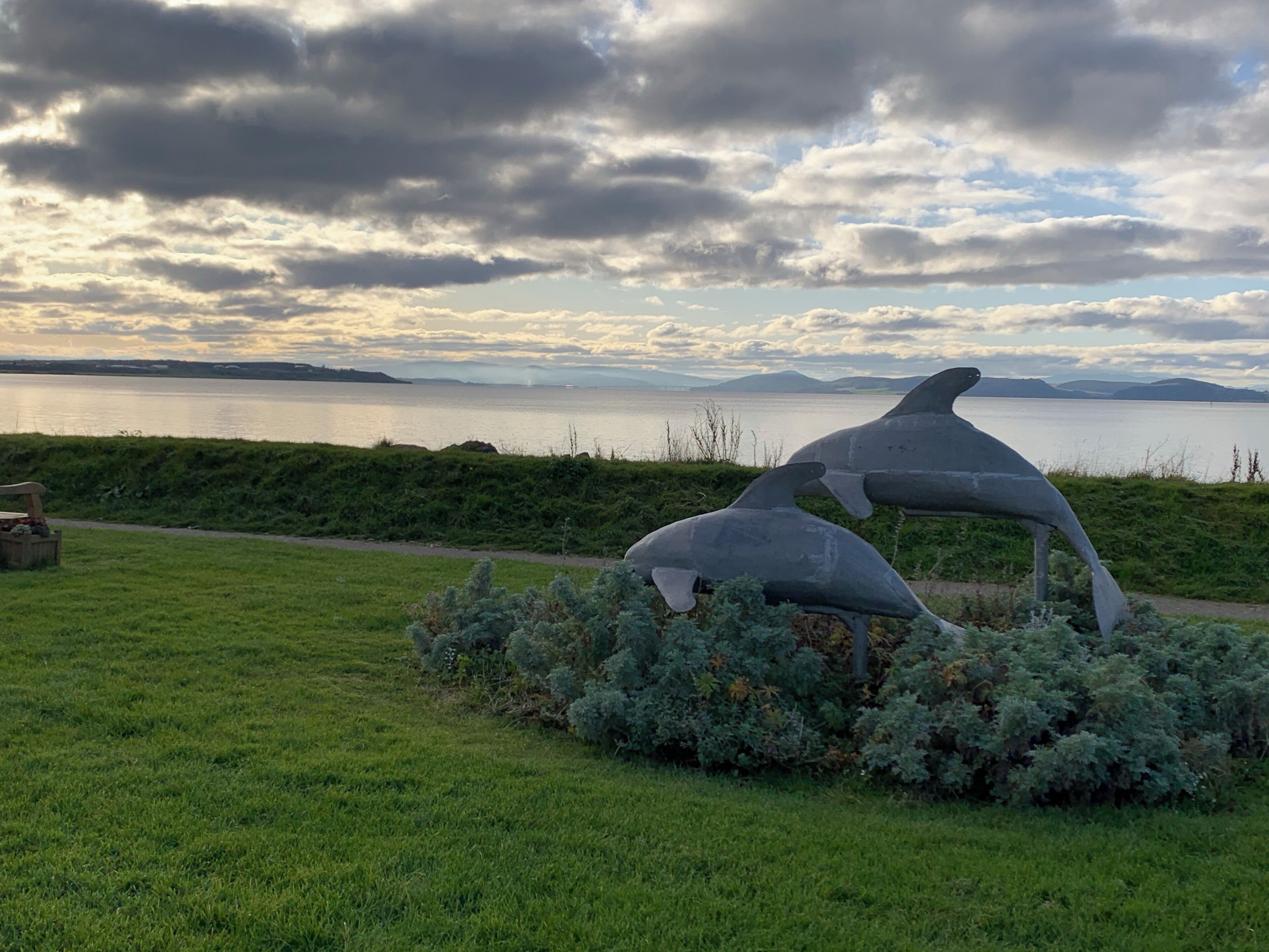 A sculpture of two dolphins in a grassy area with a lake and mountains in the background.