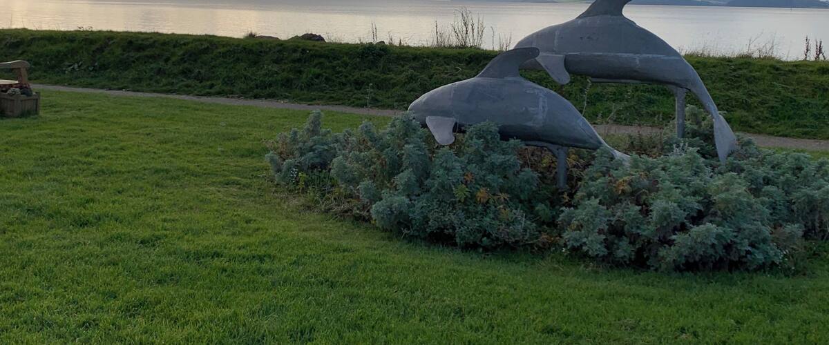 A sculpture of two dolphins in a grassy area with a lake and mountains in the background.