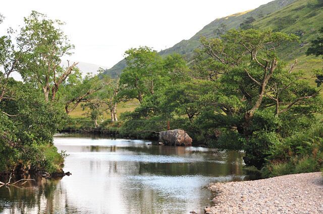 A river with trees and a hill in the background.