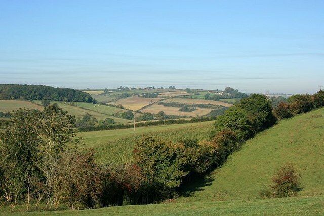 View from B3110 Looking north west toward Baggridge, Wellow is in the valley beyond the hill on the skyline.