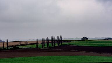 This shot was taken from the top of the 'Gulpenerberg', al hill near the dutch town of Gulpen. It is shot to the north from the hill. The scene you see from here could easily be placed in the Tuscany, what do you think?
#Zuid-Limburg #Heuvelland #netherlands #nature #green #italy #landscape #tuscany #rural #scenery #italian #countryside #meadow #view #field #tuscan #country #background #toscana #scenic #travel #grass #hill #sky #europe #outdoor #seasonal #scene #beautiful #panorama #photography #travelphotography