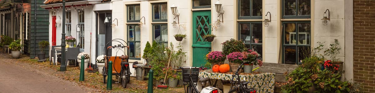 A row of traditional European houses with sloped roofs, a street with fallen leaves, and potted plants.