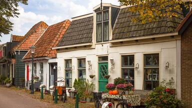 A row of traditional European houses with sloped roofs, a street with fallen leaves, and potted plants.
