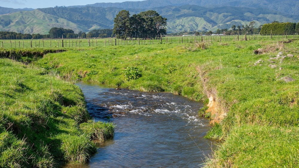 the small Mangaone Stream drains farmland in the Te Horo region of the Kapiti Coast in the North Island of New Zealadn. In the background the Tararua Ranges