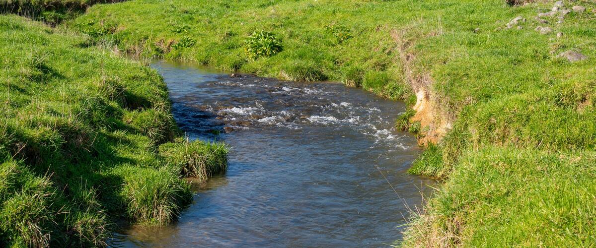 A stream flowing through a grassy field with a fence and trees in the background.