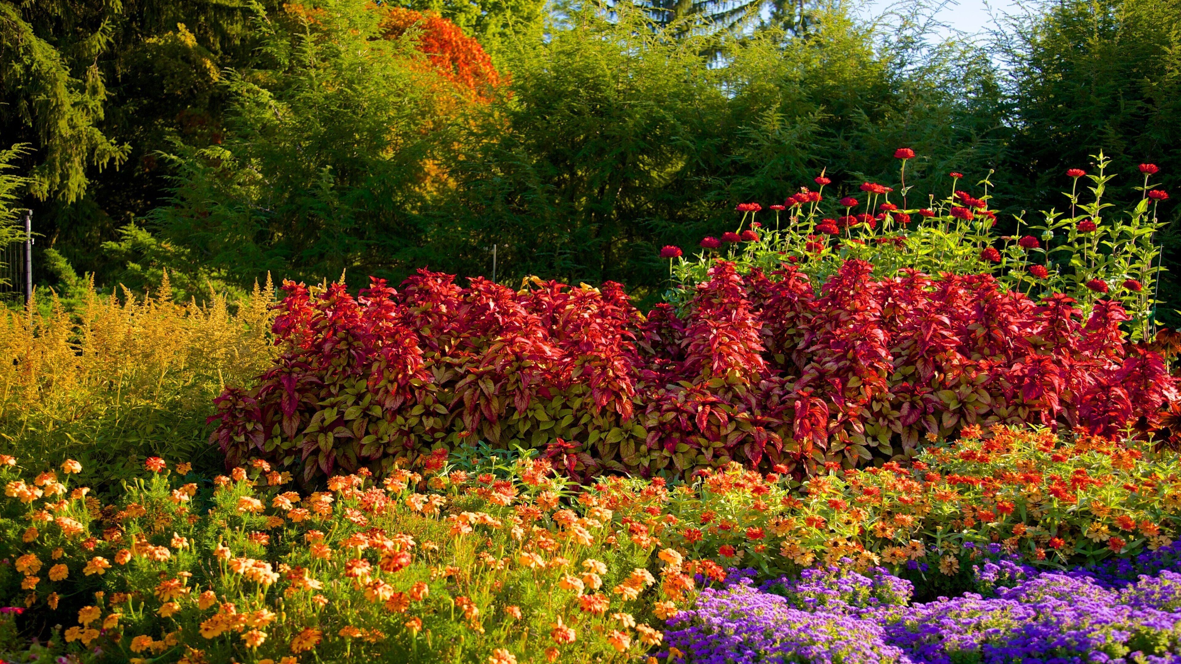 Franklin D. Roosevelt Presidential Library and Museum featuring a garden and flowers