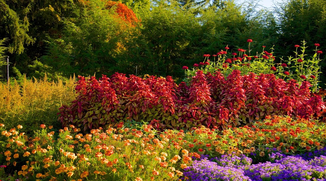 Franklin D. Roosevelt Presidential Library and Museum featuring a garden and flowers