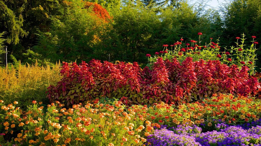 Franklin D. Roosevelt Presidential Library and Museum featuring a garden and flowers