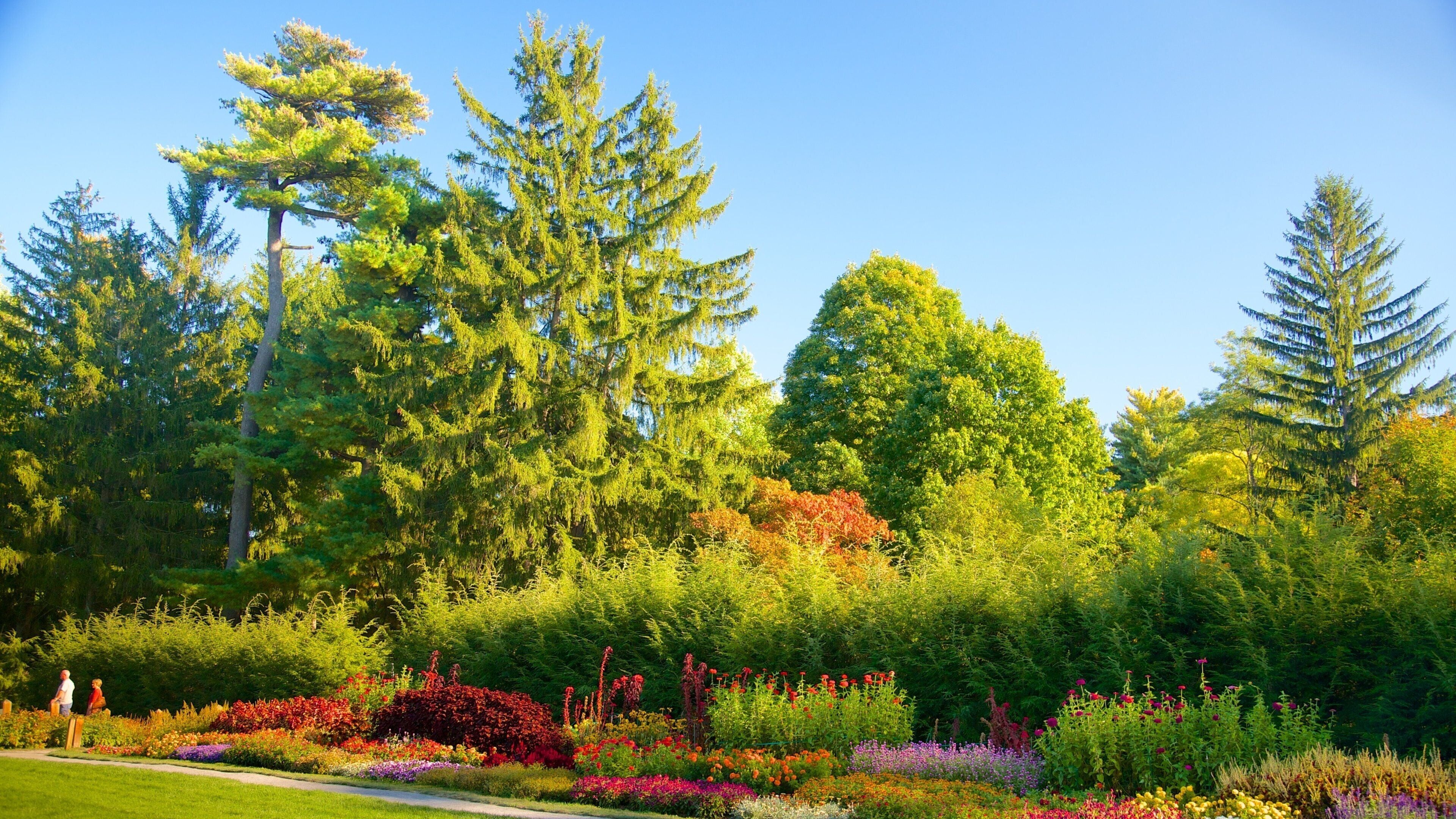 Biblioteca e Museo presidenziale di Franklin D. Roosevelt caratteristiche di parco