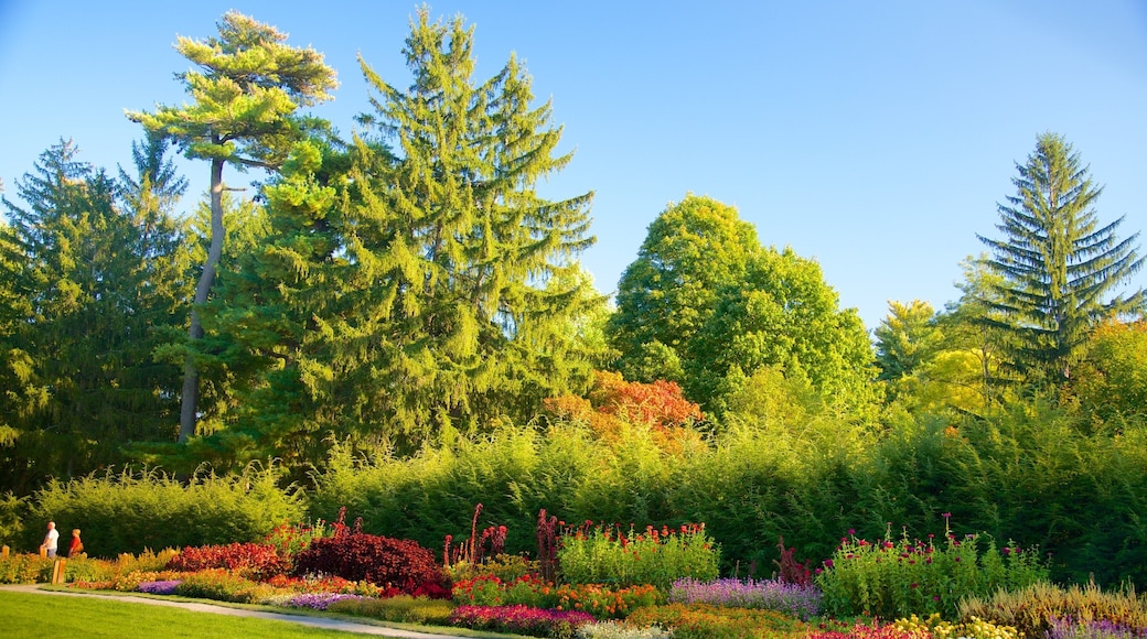 Franklin D. Roosevelt Presidential Library and Museum og byder på en have