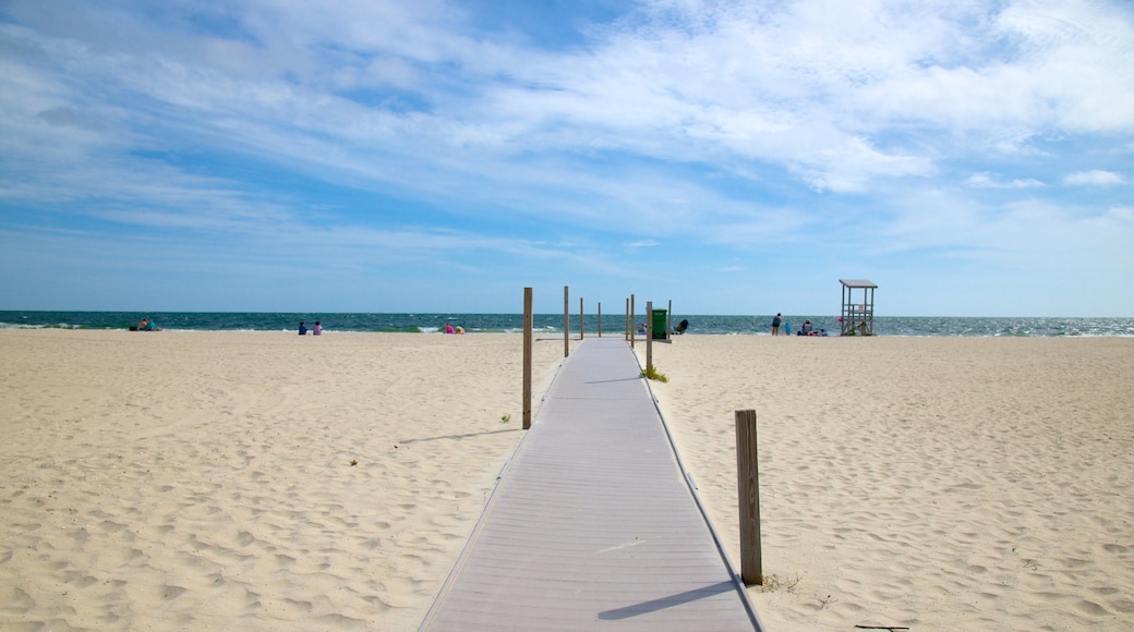 Seagull Beach which includes a sandy beach and a bridge