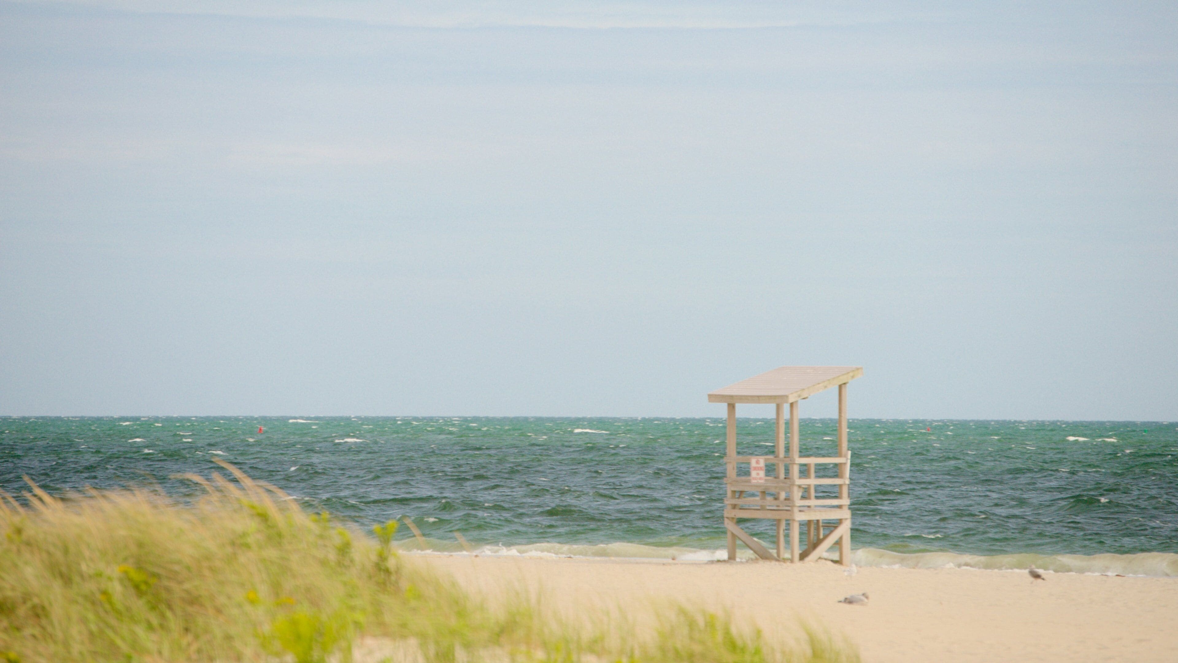 Seagull Beach som viser sandstrand