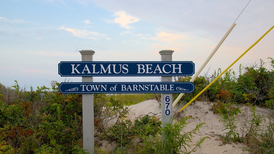 Kalmus Beach which includes signage and general coastal views