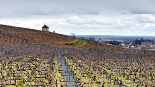 Gevrey-Chambertin