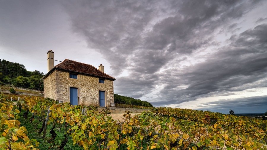 A stone house with blue doors and chimneys, surrounded by a vineyard under a cloudy sky.