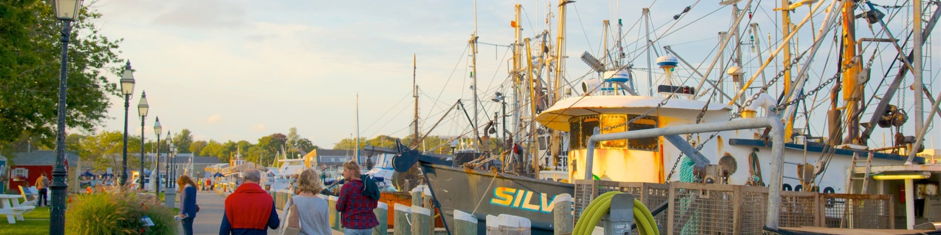 Hyannis Harbor que inclui um pôr do sol e uma baía ou porto assim como um pequeno grupo de pessoas