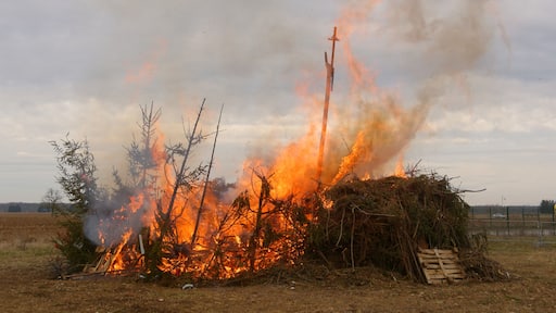 Personality rights Personality rights warningAlthough this work is freely licensed or in the public domain, the person(s) shown may have rights that legally restrict certain re-uses unless those depicted consent to such uses. In these cases, a model release or other evidence of consent could protect you from infringement claims. Though not obliged to do so, the uploader may be able to help you to obtain such evidence. See our general disclaimer for more information.