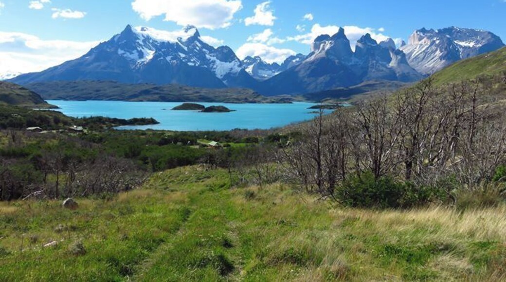 View from our room at the Explora Patagonia. Epic hiking vacation. Finished the W on our trip.