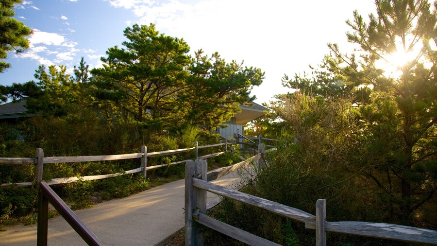Cape Cod National Seashore showing a house