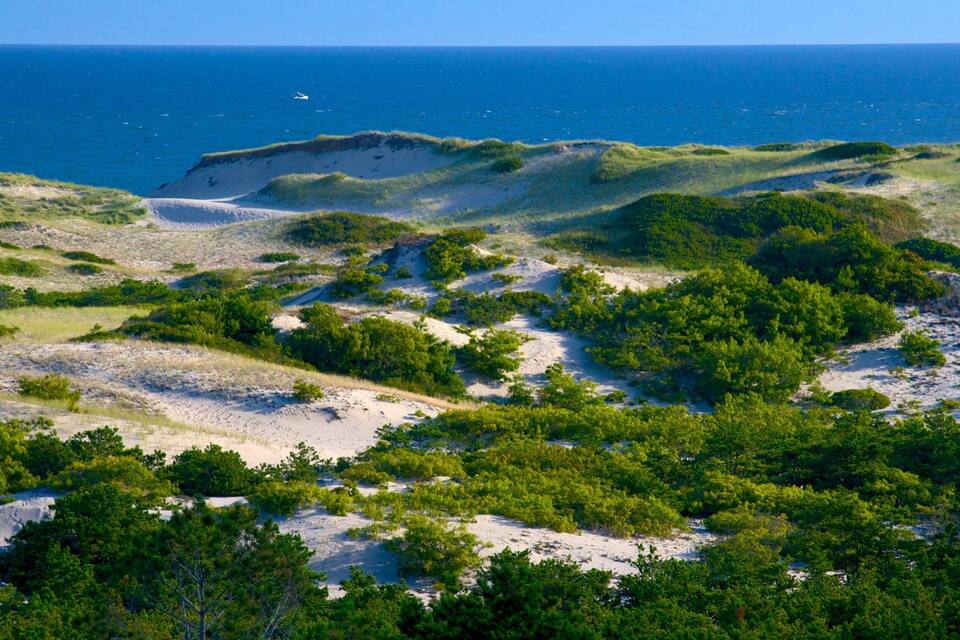 A coastal landscape with sand dunes, green vegetation, and the ocean in the background.