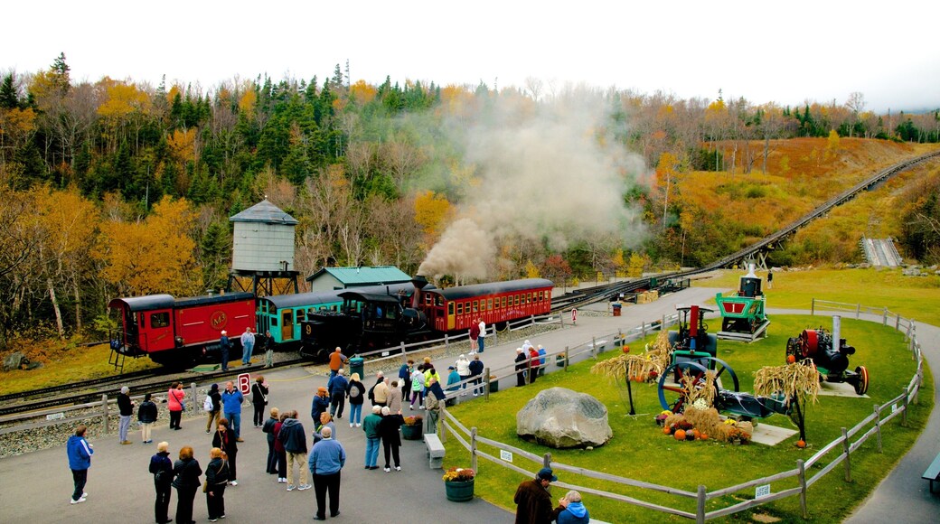 Mount Washington Cog Railway montrant articles ferroviaires aussi bien que important groupe de personnes