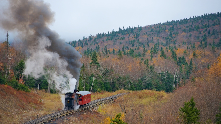 Una locomotora de vapor con humo negro sobre una vía férrea que atraviesa un área boscosa con árboles de colores otoñales.
