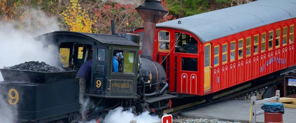 Mount Washington Cog Railway showing railway items