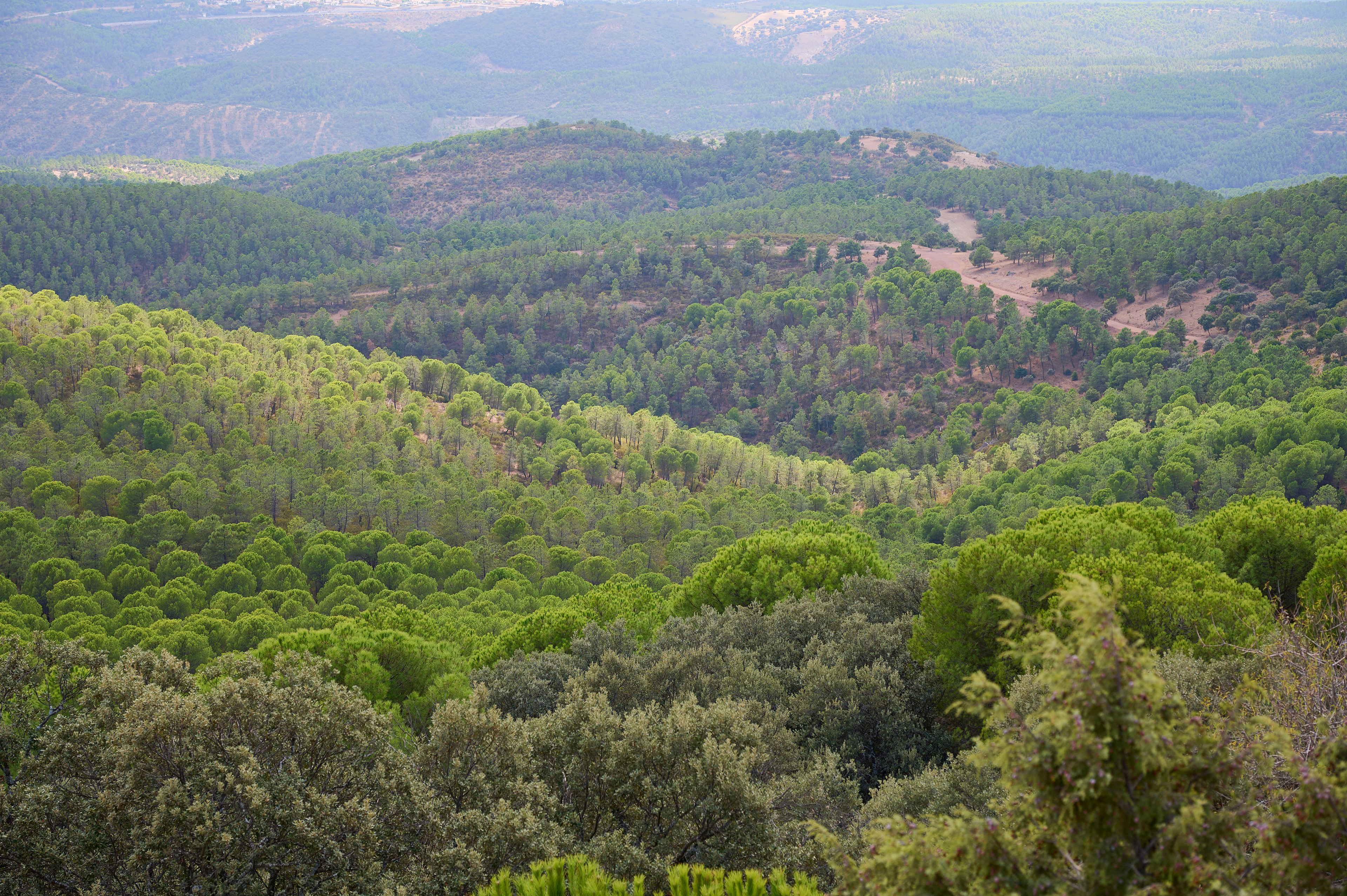 Verdant landscapes of Sierra Morena, Spain