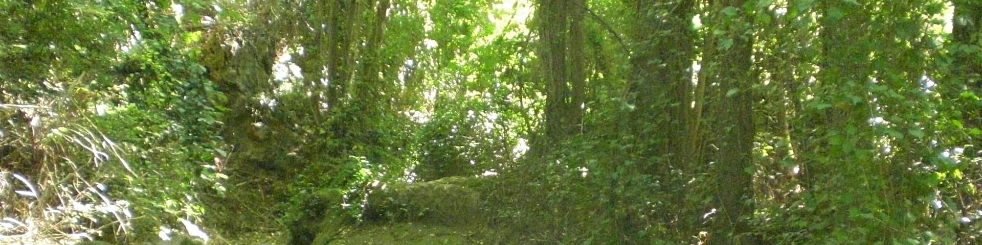 El transcurrir del agua.