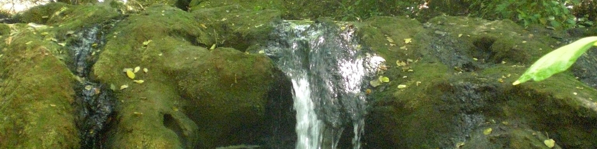 El transcurrir del agua.