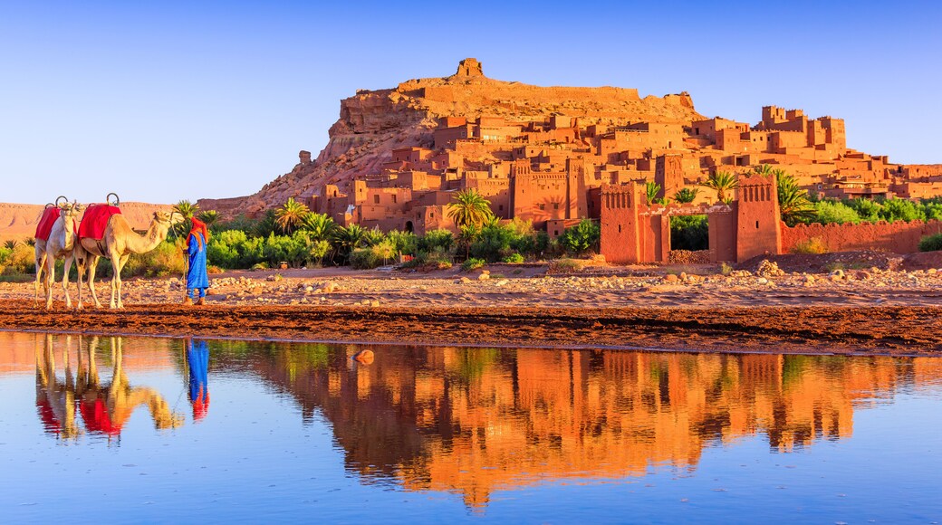 Meknès-Tafilalet