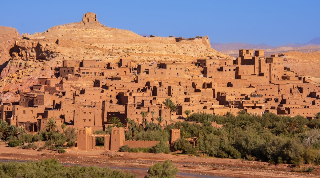 Meknès-Tafilalet
