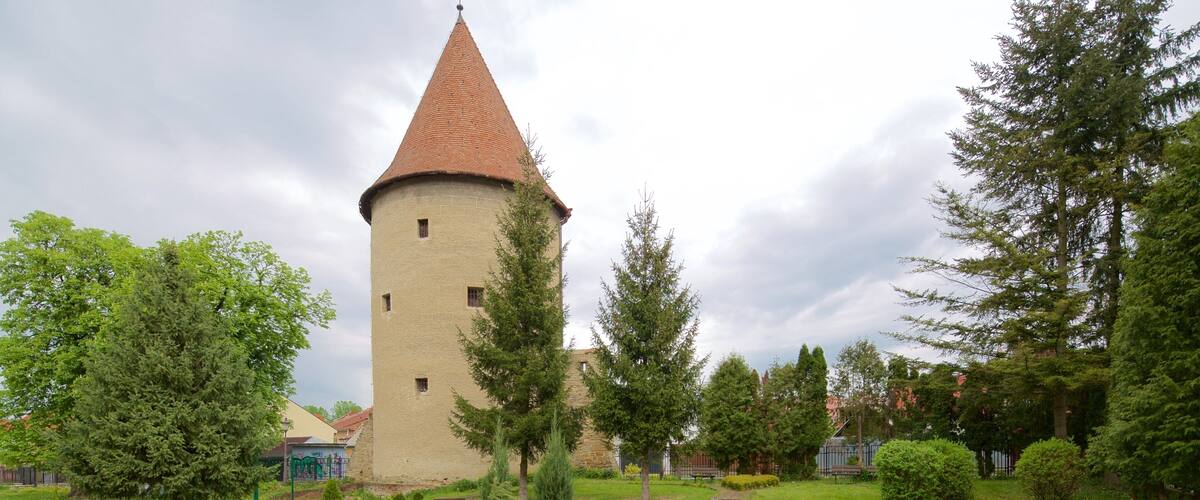 A tower with a conical roof surrounded by a well-maintained garden with various plants and a bench.