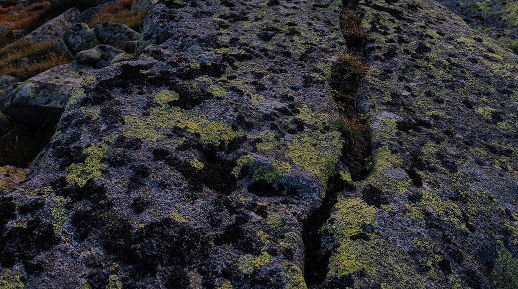 Coffe made of rock :). Beautiful sunset at Low Tatras near Ďumbier. Best hike of this season.
My insta- @oudoorstories
D850 + Tokina 17-35 f4
#golden