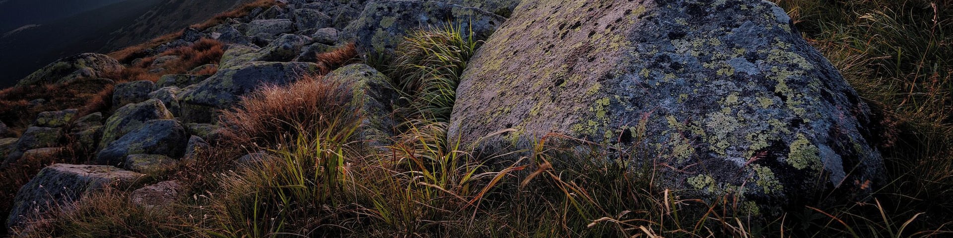 Beautiful sunset at Low Tatras near Ďumbier. Best hike of this season.
My insta- @oudoorstories
D850 + Tokina 17-35 f4
#golden