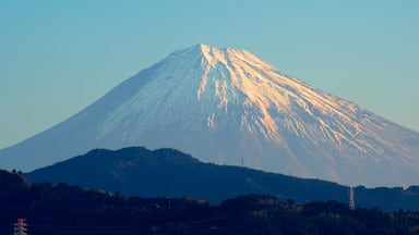 Fuji
