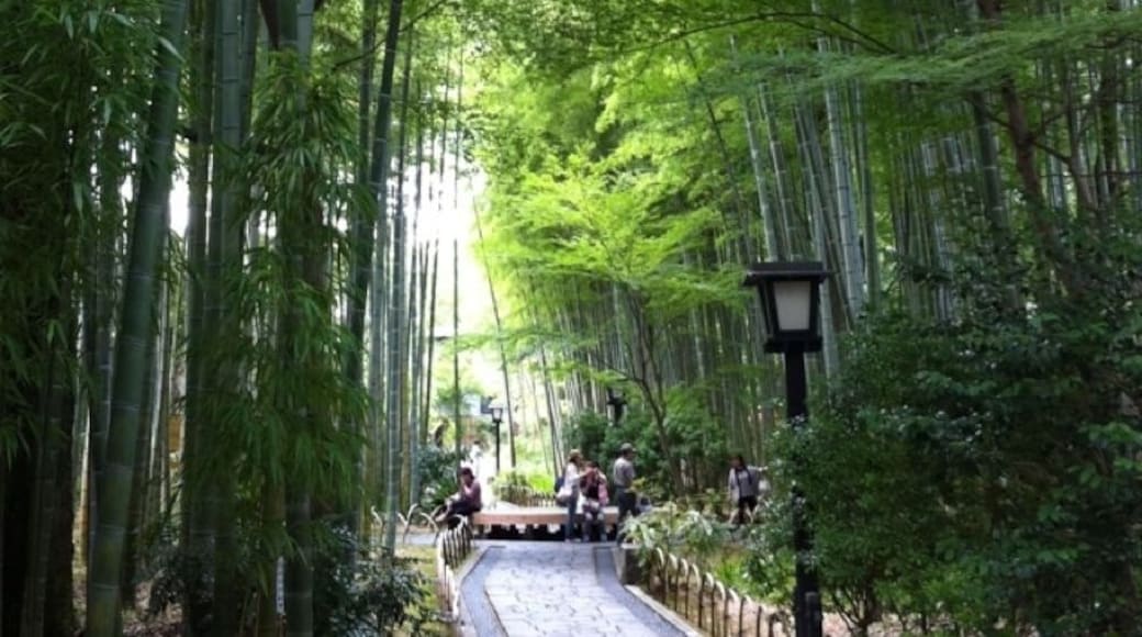 ç«čæăźć°ćŸă