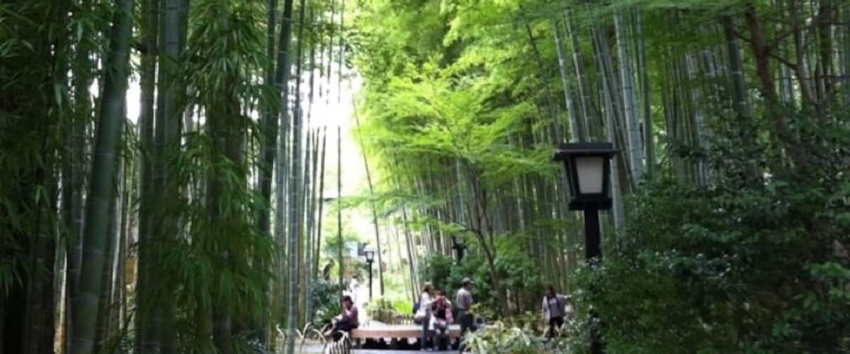竹林の小径。