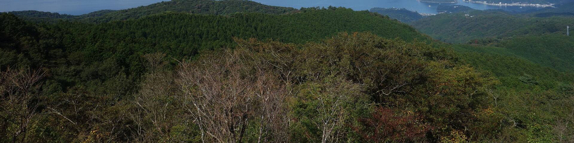 だるま山レストハウスから 20141025