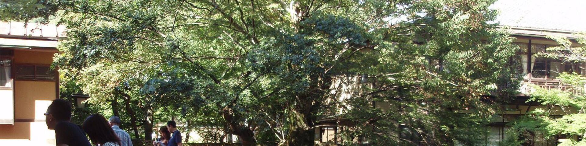The Katsura bridge (桂橋) is located in Izu city, Shizuoka prefecture, Japan.
