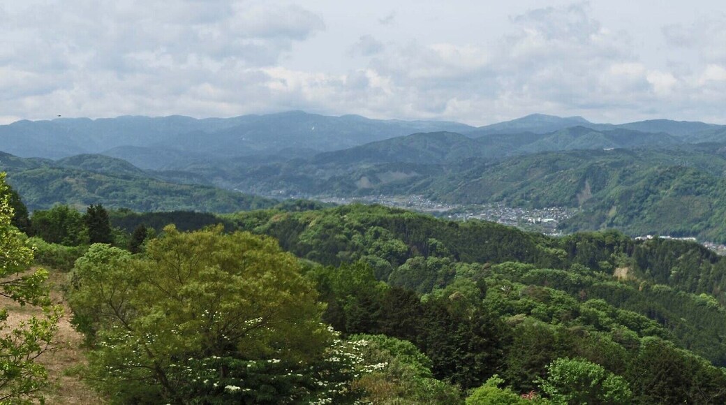 A view from the Izu city in Shizuoka prefecture, Japan.