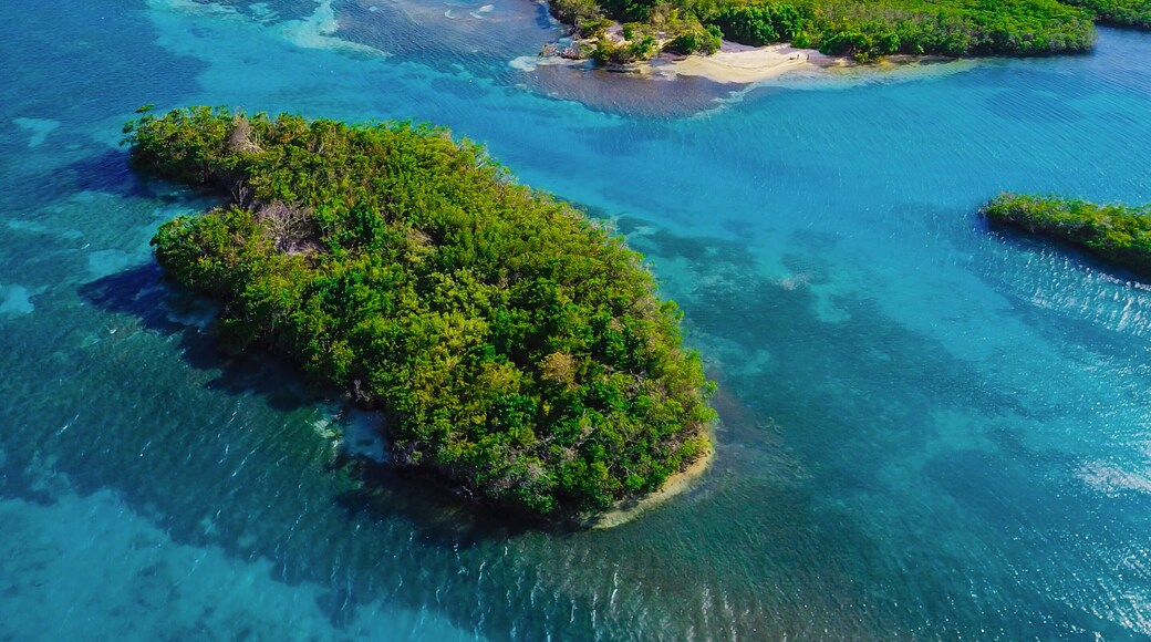 Cayo Aurora, Guanica P.R.