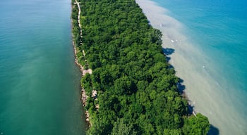 Point Pelee