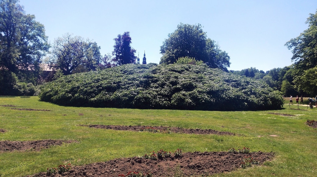 Łęknica, Park Mużakowski