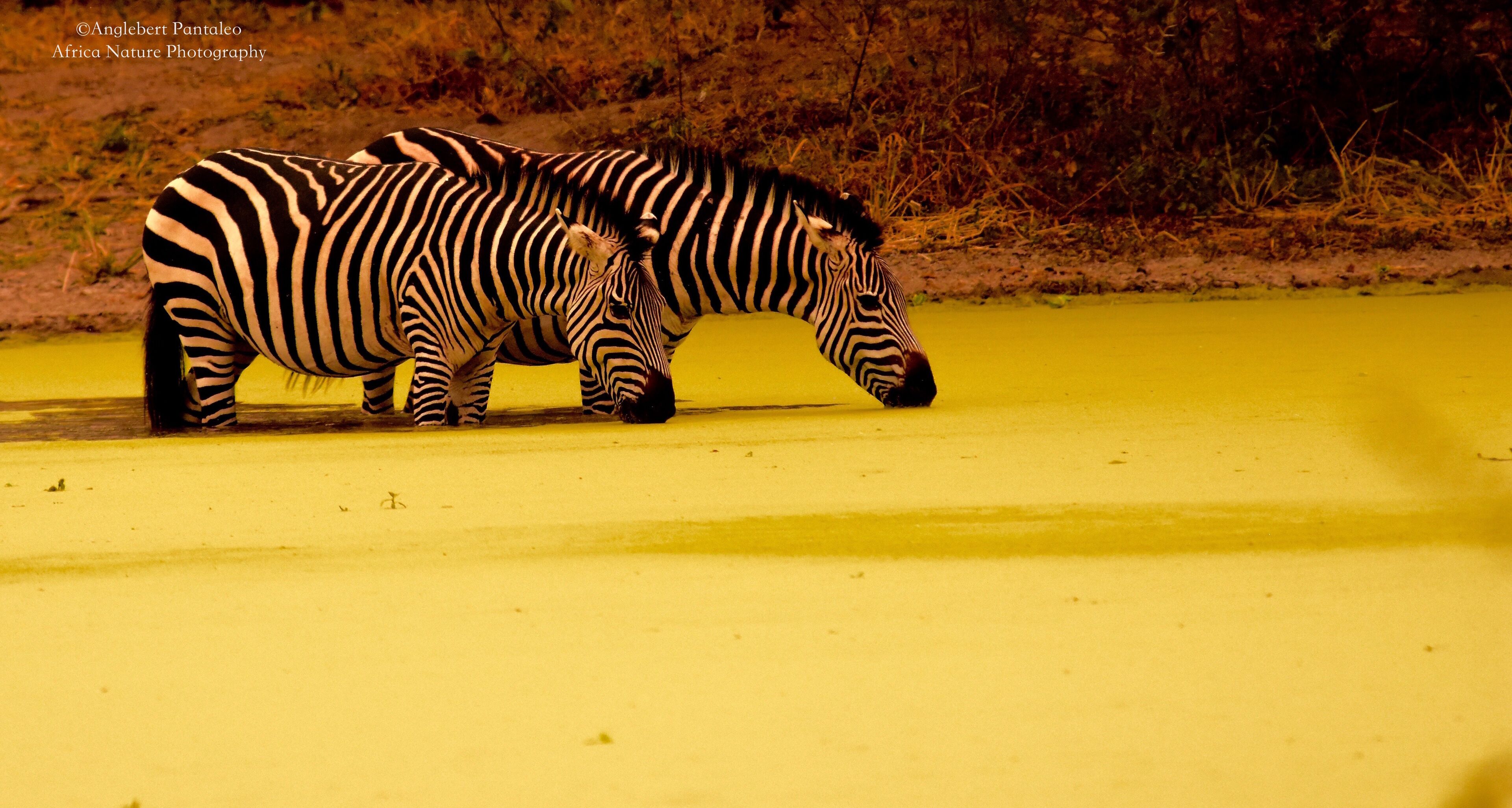 Exploring Tarangire National Park 